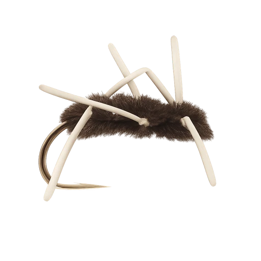 Girdle Bug