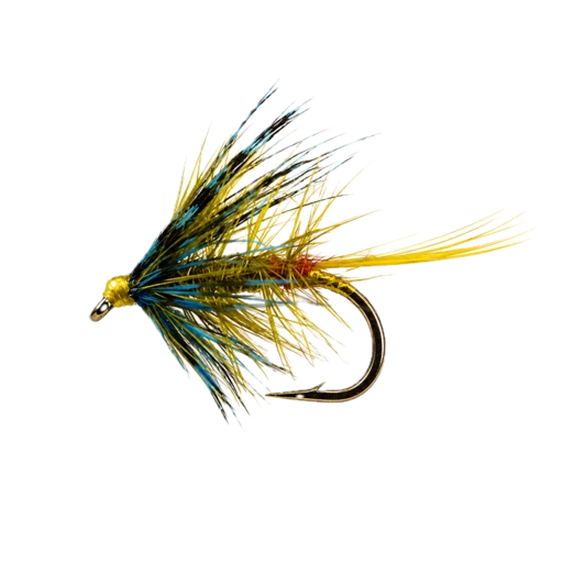Golden Olive Bumble