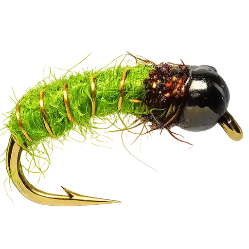 Green Caddis Pupa