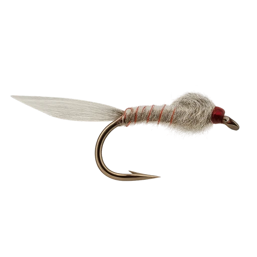 Grey Goose Nymph