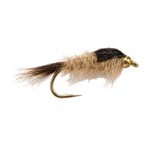 Gold Ribbed Hare's Ear