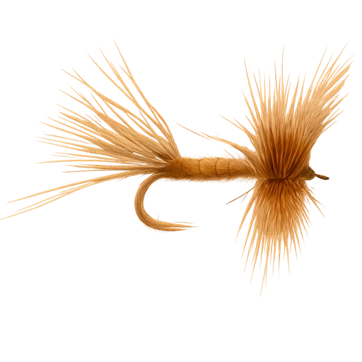 Hexagenia