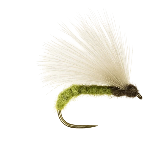 Silver Sedge