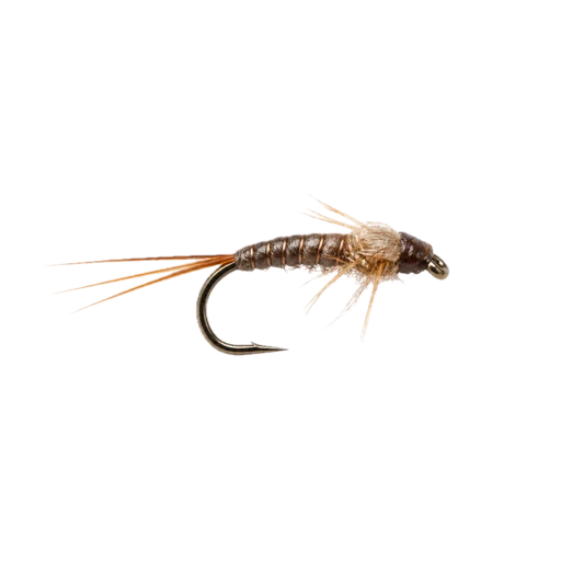 Mayfly Nymph