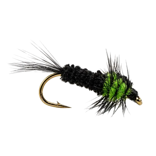 Montana Nymph