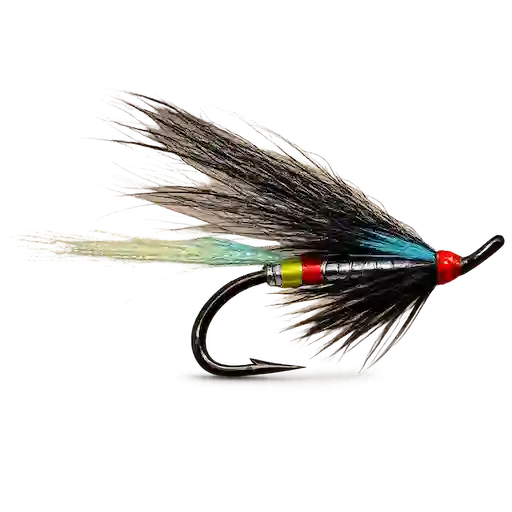 Night Hawk