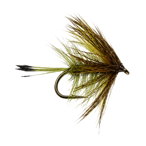 Olive Bumble