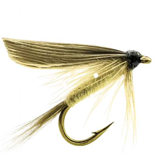 Ornans Fly