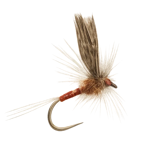 Pardón de Meana