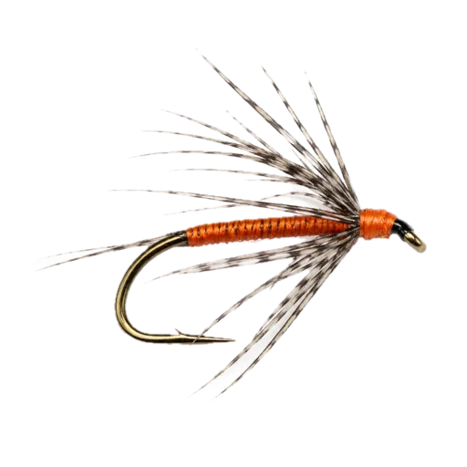 Partridge & Orange