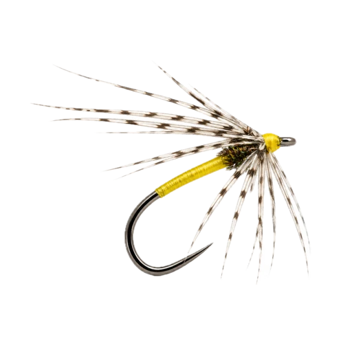 Partridge & Yellow