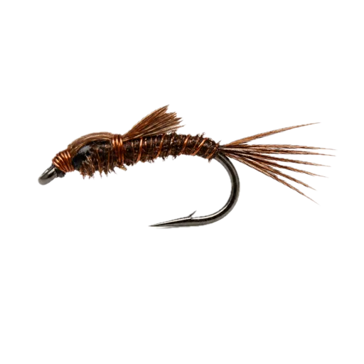Pheasant Tail Nymph
