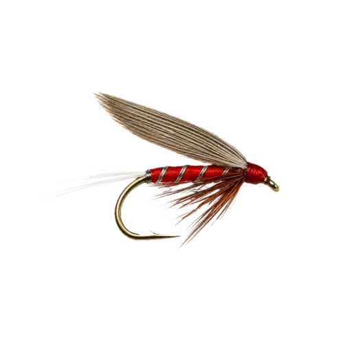 Red Spinner
