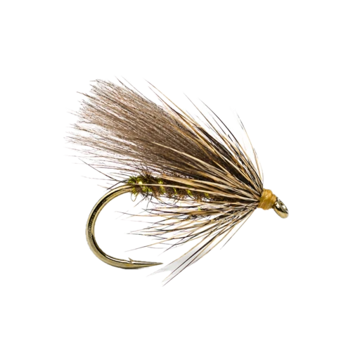 Sedge du Soir