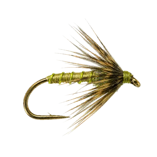 Soft Hackle Olive