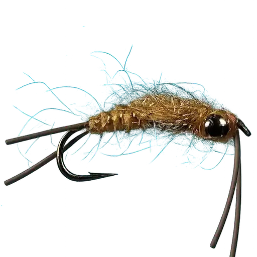 Stonefly Nymph