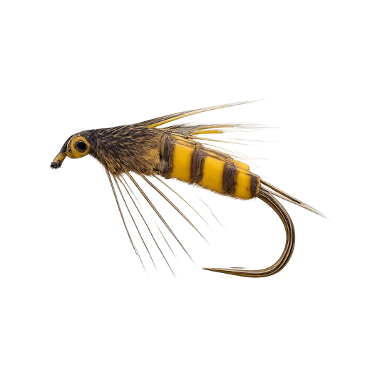 Tellico Nymph