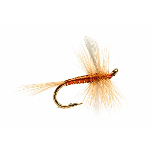Sherry Spinner