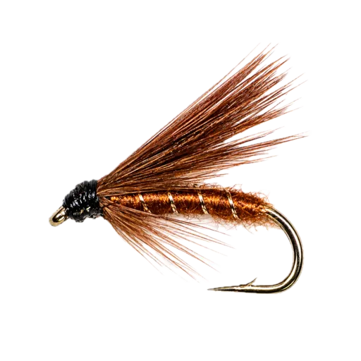 Fiery Brown (Connemara)