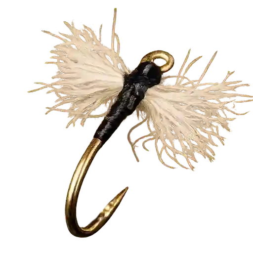 Trico Spinner