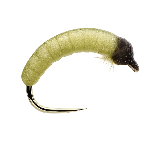Willow Grub