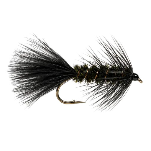 Leech
